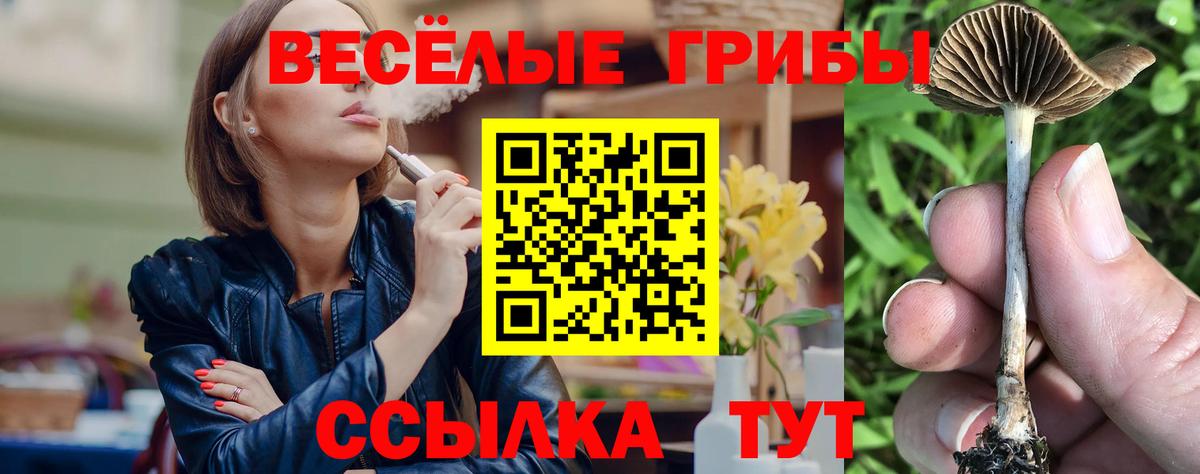 Знаменск  Псилоцибиновые грибы Cubensis  Вход с VPN  дарнет шоп  Псилоцибиновые грибы мухоморы 