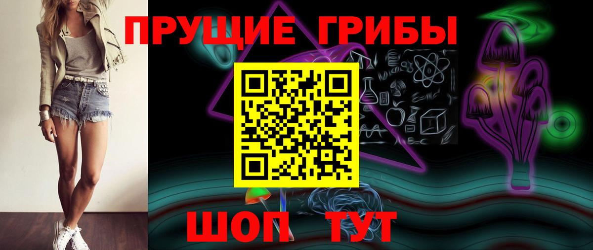 Галлюциногенные грибы Psilocybe Знаменск